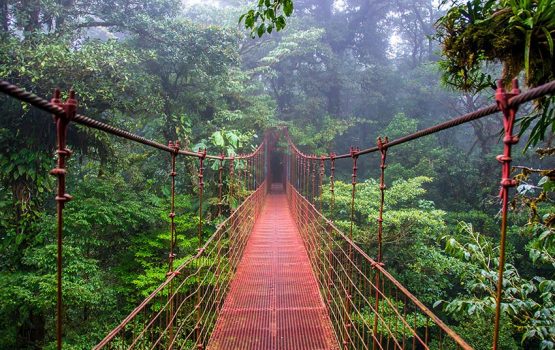 Top 10 Things to do in Monteverde Costa Rica