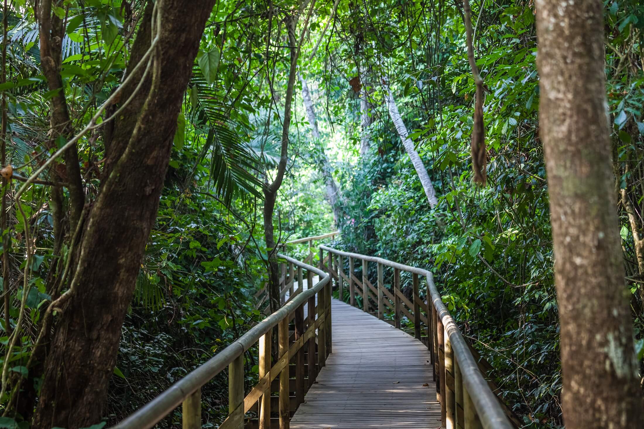 Descubre Costa Rica en Familia 10 Noches / 11 Días