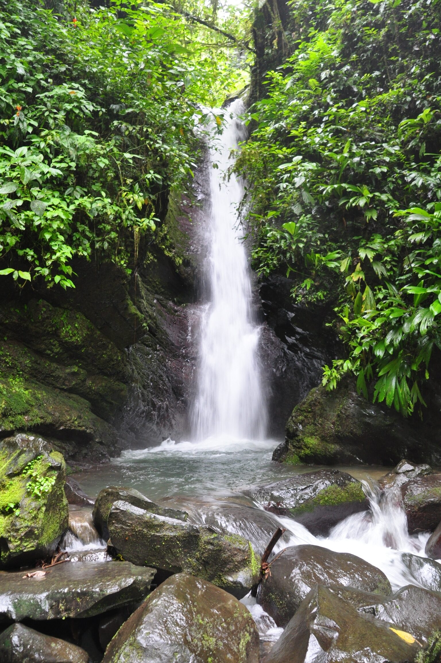 Aventura en Costa Rica 10 Noches / 11 Días